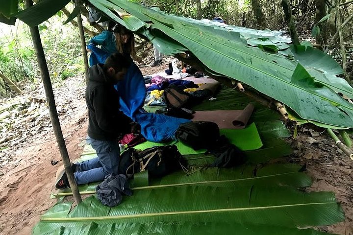 The Ultimate Hiker’s Choice - 5 days forest trek with homestay and camping