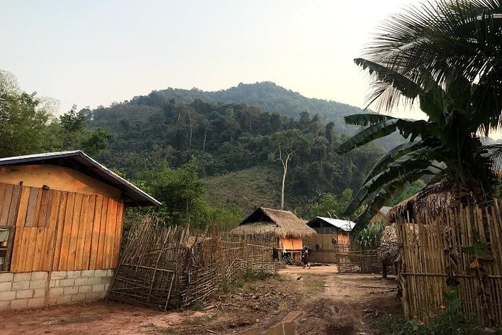 The Ultimate Hiker’s Choice - 5 days forest trek with homestay and camping