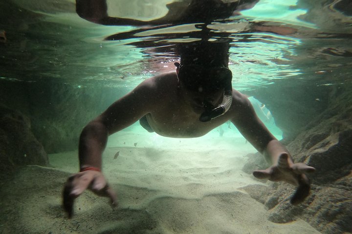 Full-Day Experience in Banderas Bay