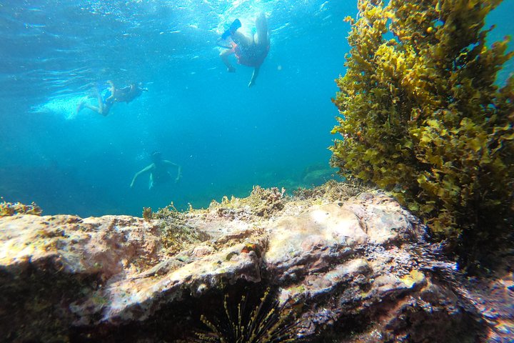 Full-Day Experience in Banderas Bay