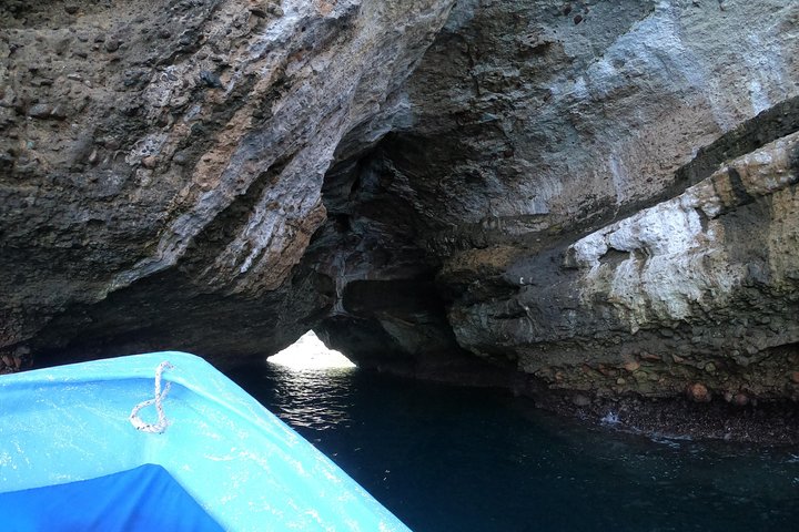 Full-Day Experience in Banderas Bay