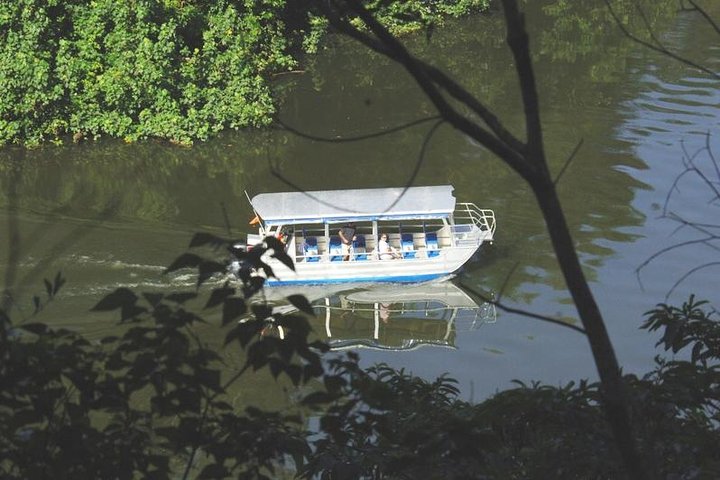 Cape Tribulation Day Tour from Cairns