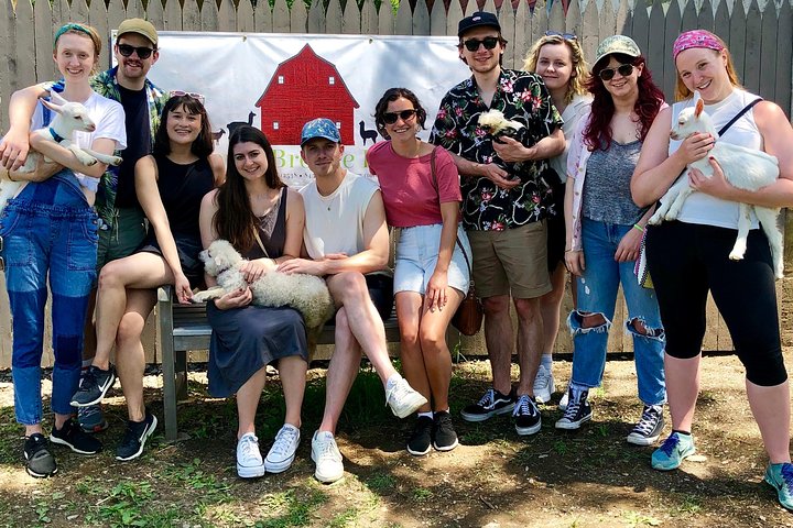 Llama/Alpaca Hike and Farm Tour