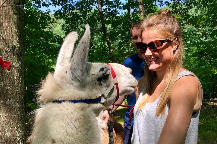 Llama/Alpaca Hike and Farm Tour
