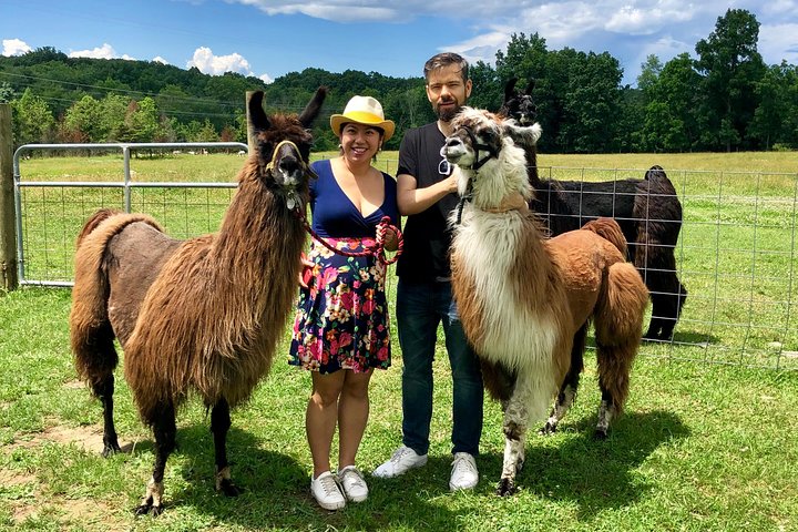 Llama/Alpaca Hike and Farm Tour