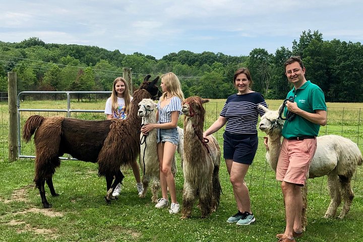 Llama/Alpaca Hike and Farm Tour