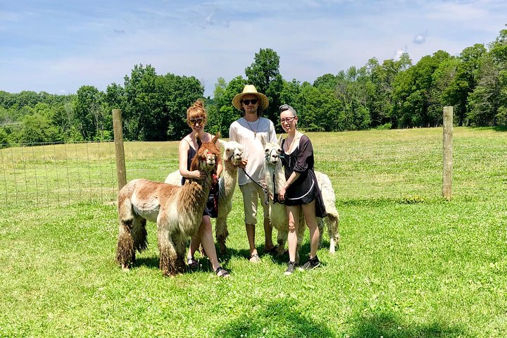 Llama/Alpaca Hike and Farm Tour