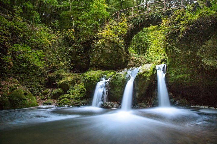 Luxembourg: Nature & Castle Day Trip