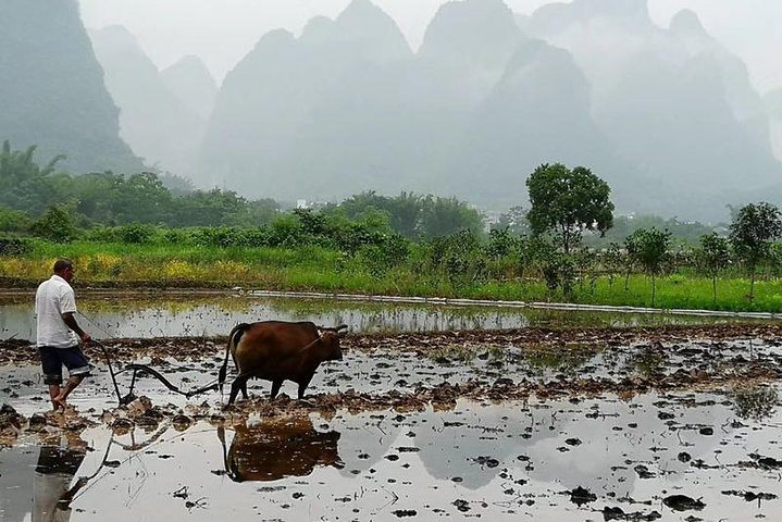 Li River Cruise with bamboo Rafting & Xianggong Hill Private Tour