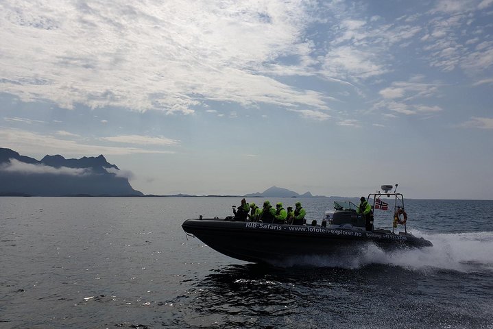 Trollfjord and Sea Eagle Safari Tour from Svolvaer
