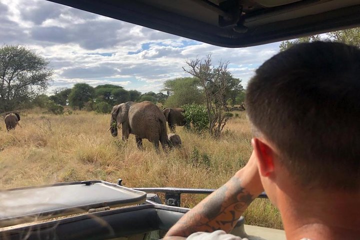 2-Day Private Luxury Safari: Tarangire & Ngorongoro Tanzania