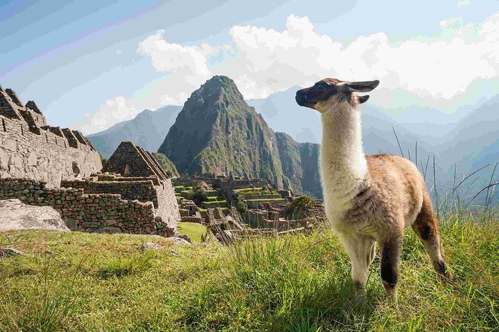 Machu Picchu Day Trip from Cusco: Full-Day Guided Tour