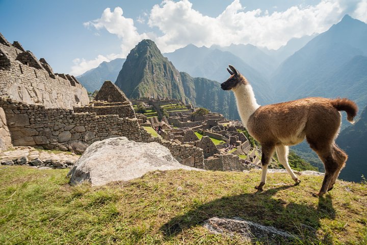 Machu Picchu Day Trip from Cusco: Full-Day Guided Tour