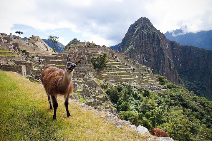 Machu Picchu Day Trip from Cusco: Full-Day Guided Tour