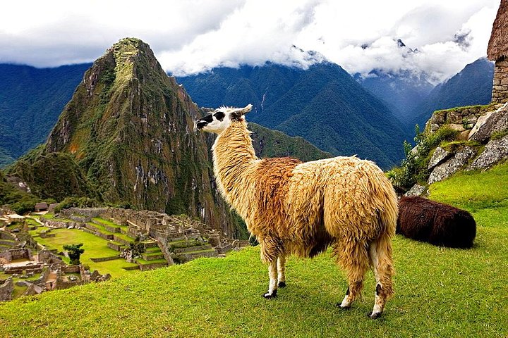 Machu Picchu Day Trip from Cusco: Full-Day Guided Tour
