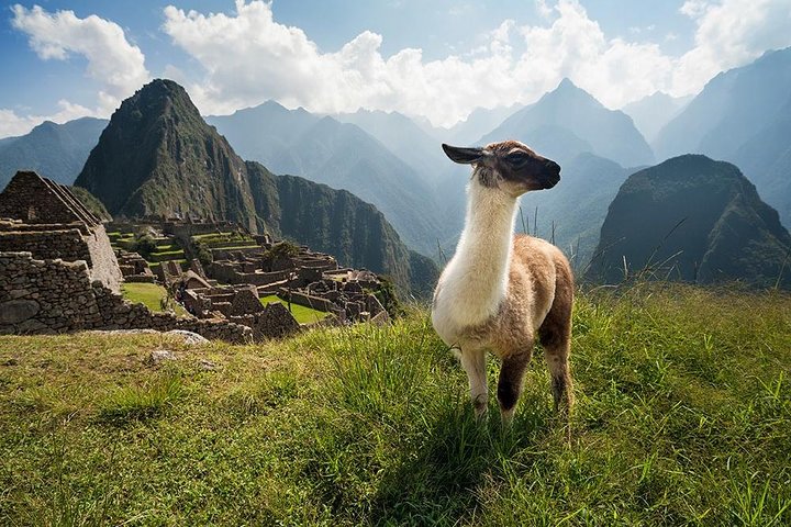 Machu Picchu Day Trip from Cusco: Full-Day Guided Tour