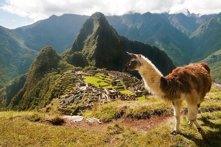 Machu Picchu Day Trip from Cusco: Full-Day Guided Tour