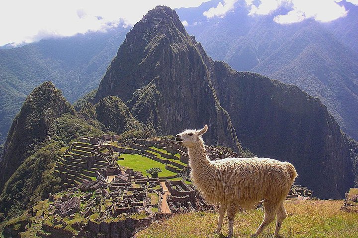 Machu Picchu Day Trip from Cusco: Full-Day Guided Tour
