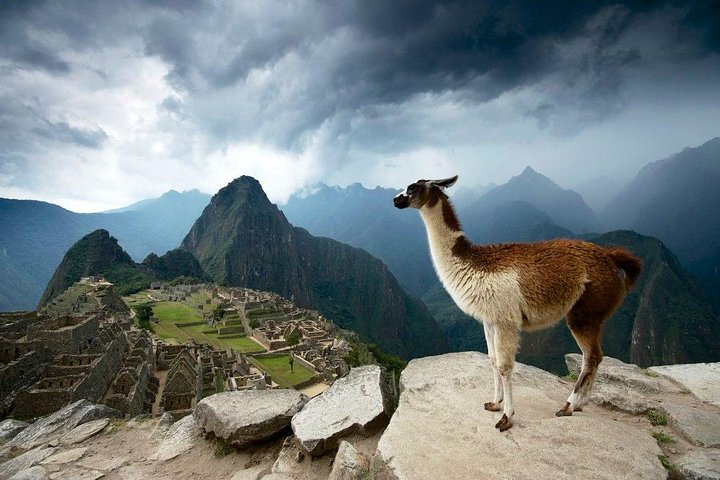 Machu Picchu Day Trip from Cusco: Full-Day Guided Tour