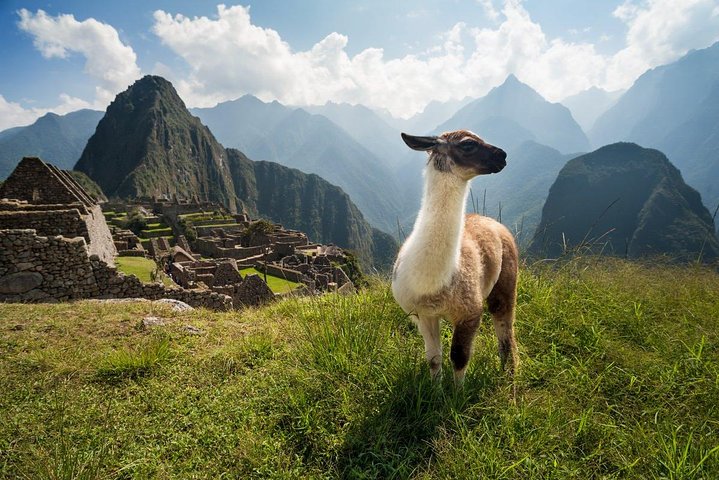 Machu Picchu Day Trip from Cusco: Full-Day Guided Tour