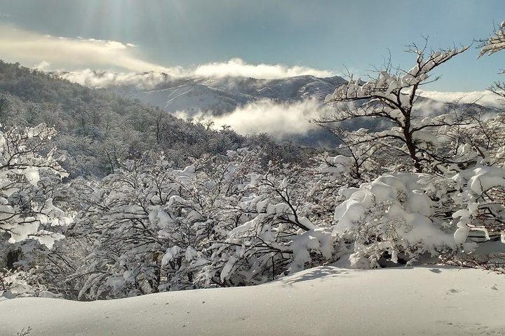 Snow excursion in Bariloche - Suitable for the whole family