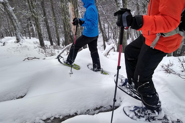 Snow excursion in Bariloche - Suitable for the whole family