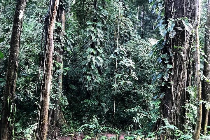 Hunter Trails, 3 days difficult trekking with Camping & Homestay