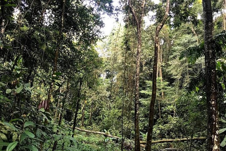 Hunter Trails, 3 days difficult trekking with Camping & Homestay