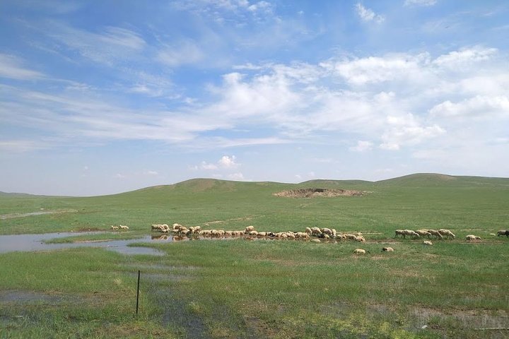 Huhhot 4D3N Inner Mongolia Grassland and desert nature tours