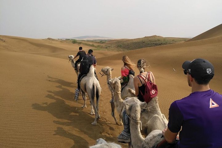Huhhot 4D3N Inner Mongolia Grassland and desert nature tours