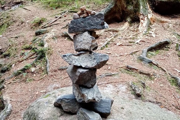 Hassle-free Bohemian & Saxon Switzerland Trip from Dresden
