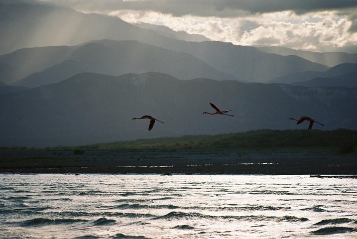 Nature Combo Oviedo Lagoon & Bahia de las Aguilas