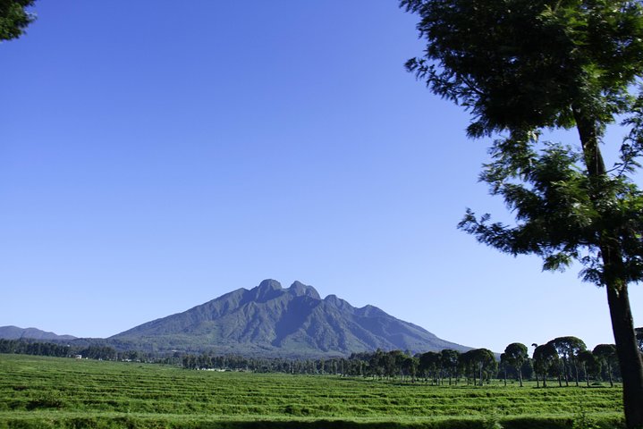 1 Day Rwanda Gorilla Trekking Tour In The Volcanoes National Park