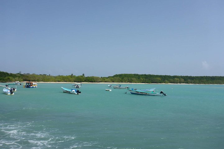 Tobago Buccoo Reef Glass Bottom Boat Tour
