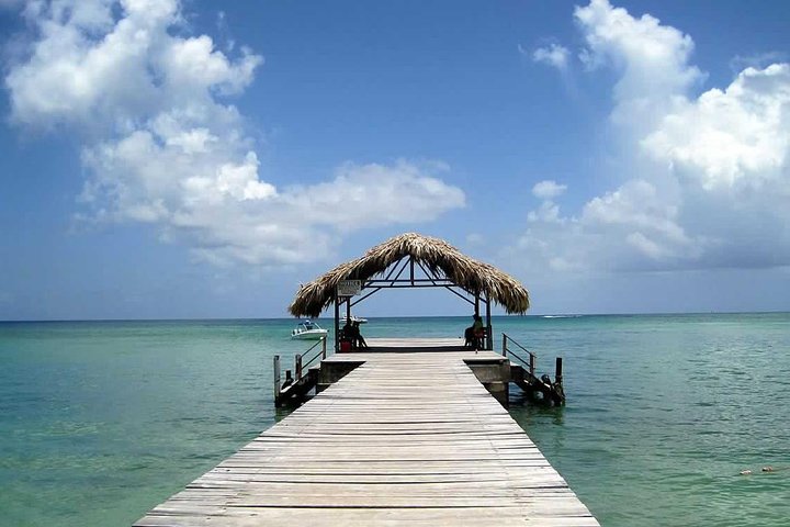Tobago Buccoo Reef Glass Bottom Boat Tour