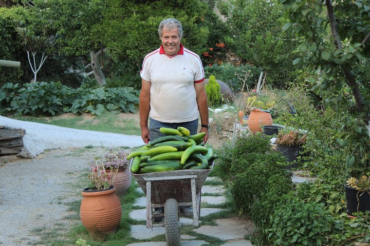 Naxos:Half-day cooking class at Basiliko Farm