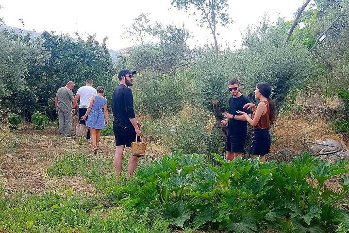 Naxos:Half-day cooking class at Basiliko Farm