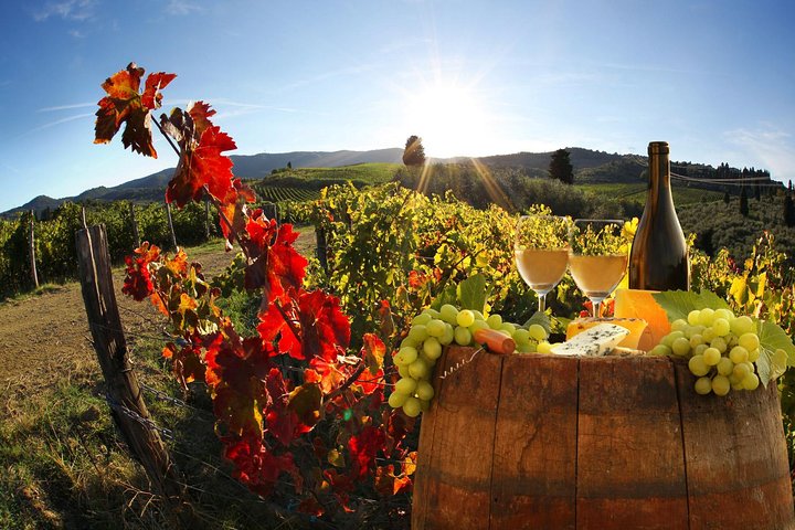 Chianti Half-day Wine Tour in the Tuscan's Hills from Pisa