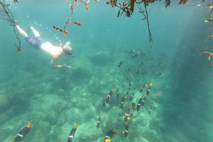 Full-Day Experience in Banderas Bay