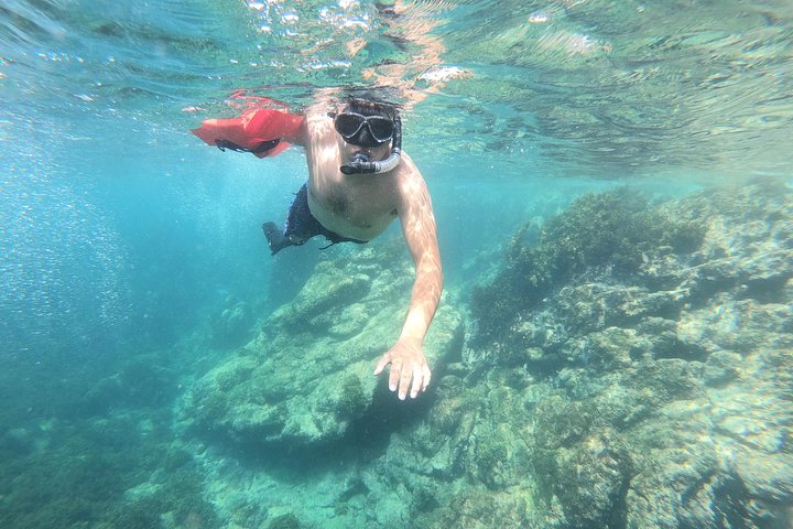 Full-Day Experience in Banderas Bay