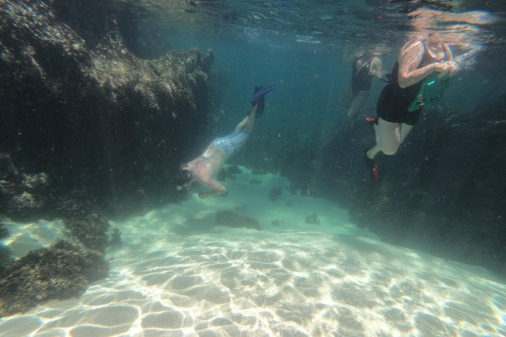 Full-Day Experience in Banderas Bay