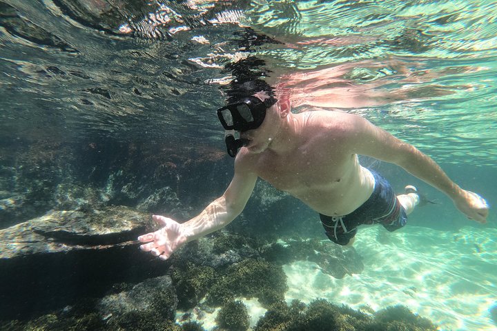 Full-Day Experience in Banderas Bay