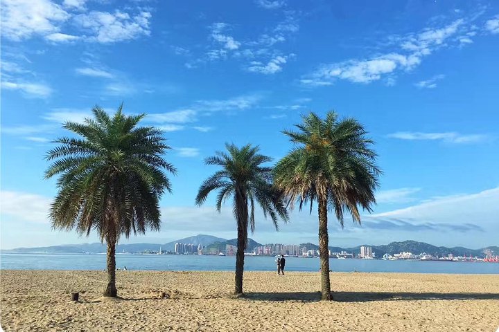 Xiamen Private Half Day Tour of Gulangyu Island and Shuzhuang Garden