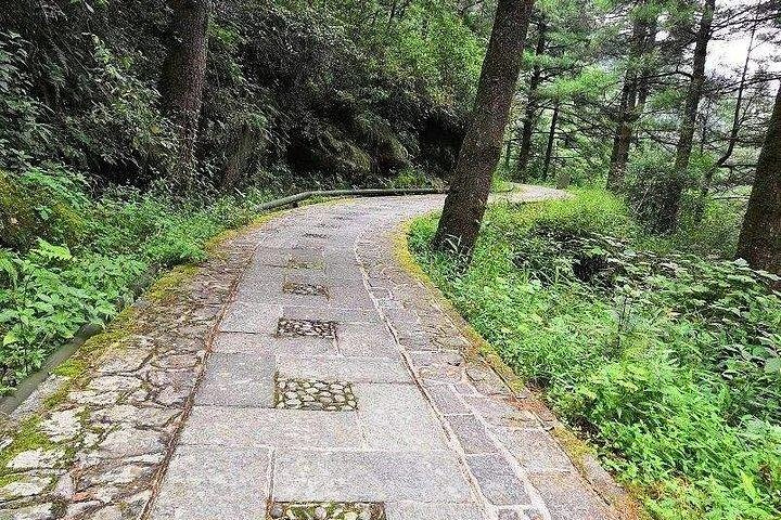 Private hiking tour to Cangshan Mountain from Dali