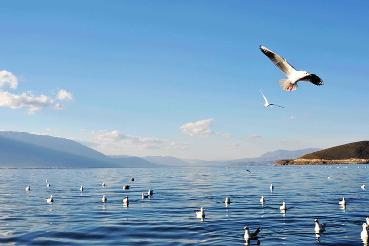 Private tour to Xizhou old town local market Erhai lake three Pagodas from Dali