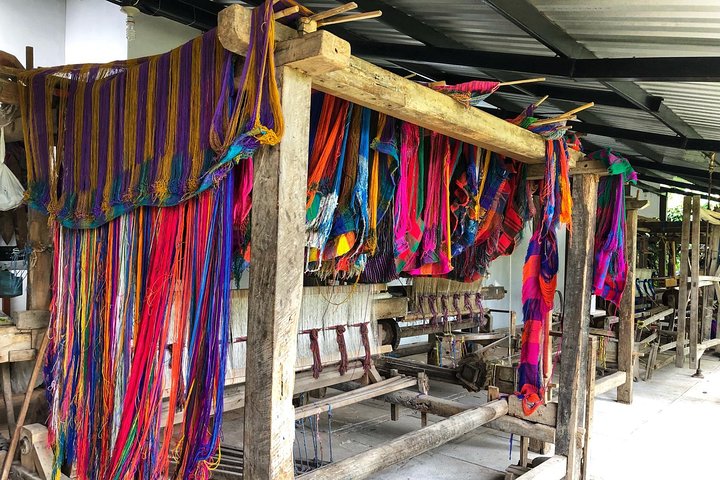 Classic Ruta de las Flores: Towns, Coffee Tour & Hot Springs