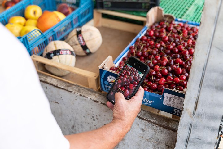 Small-group Street food tour in Rimini