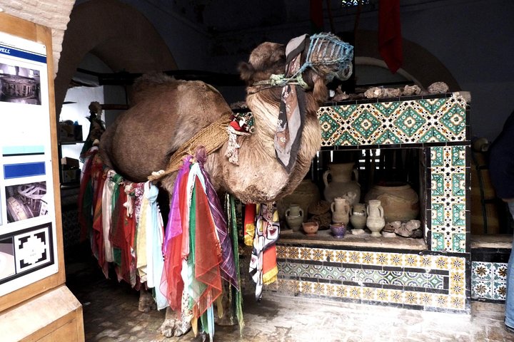 From Tunis/Hammamet/Sousse : 2 day Sahara tour with night in tent