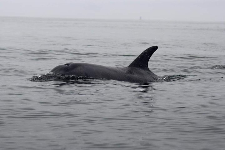 Half Day Kayaking Adventure in Walvis Bay