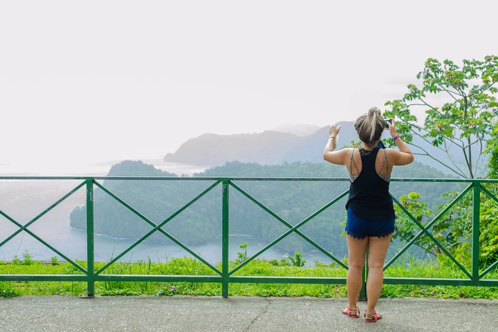 Trinidad Highlights Tour from Port of Spain